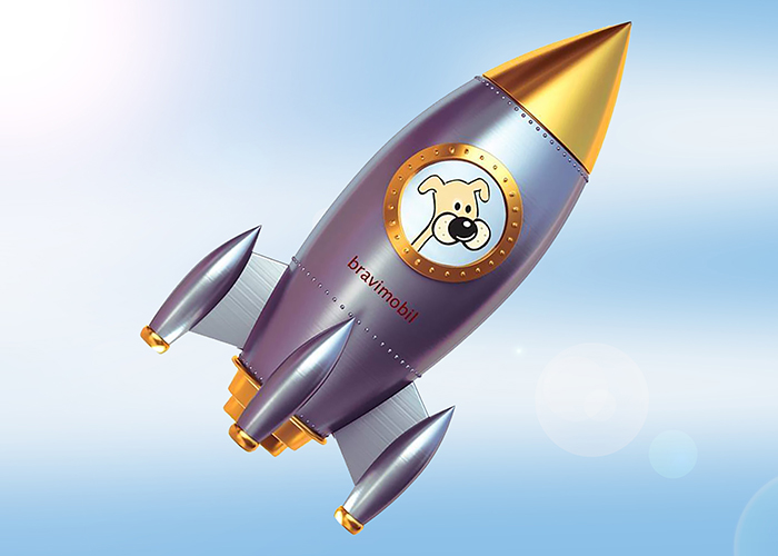 Startrampe für Welpen